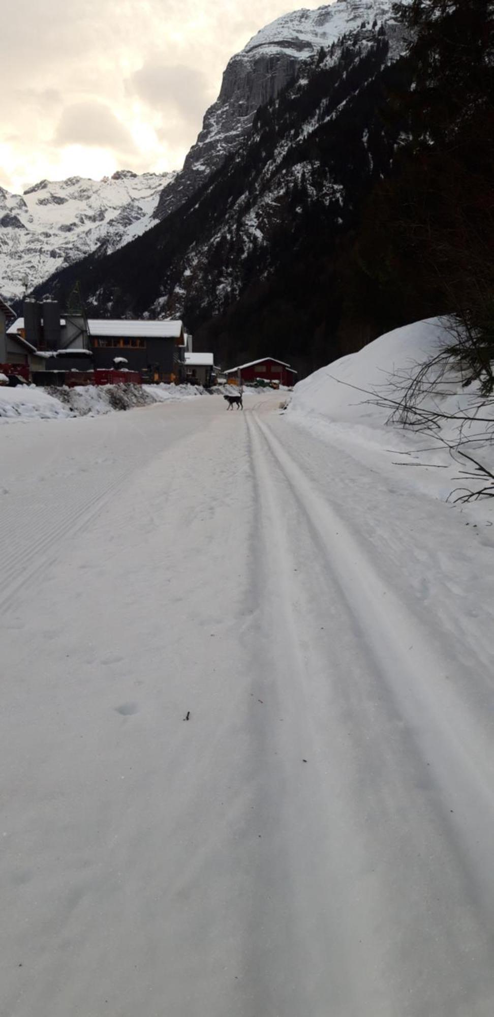 Hostel Engelberg "Mein Trail Hostel" 외부 사진